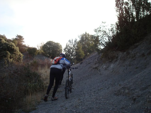 dsc08187.jpg
