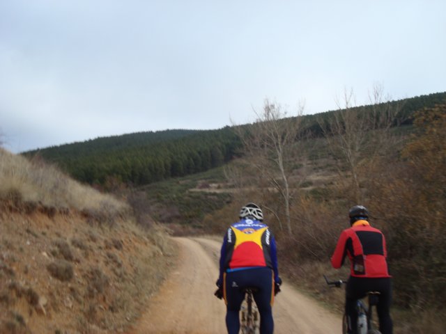 dsc08203.jpg
