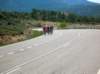dscn5779_small.jpg
